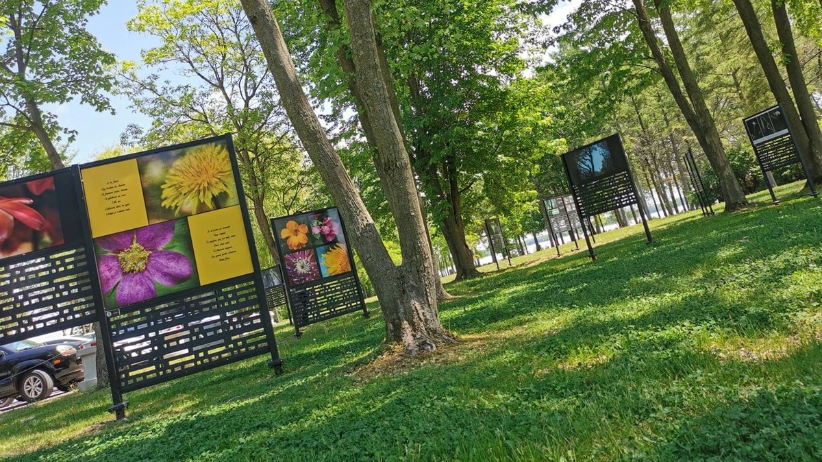 Quand la nature et l’art numérique ne font qu’un