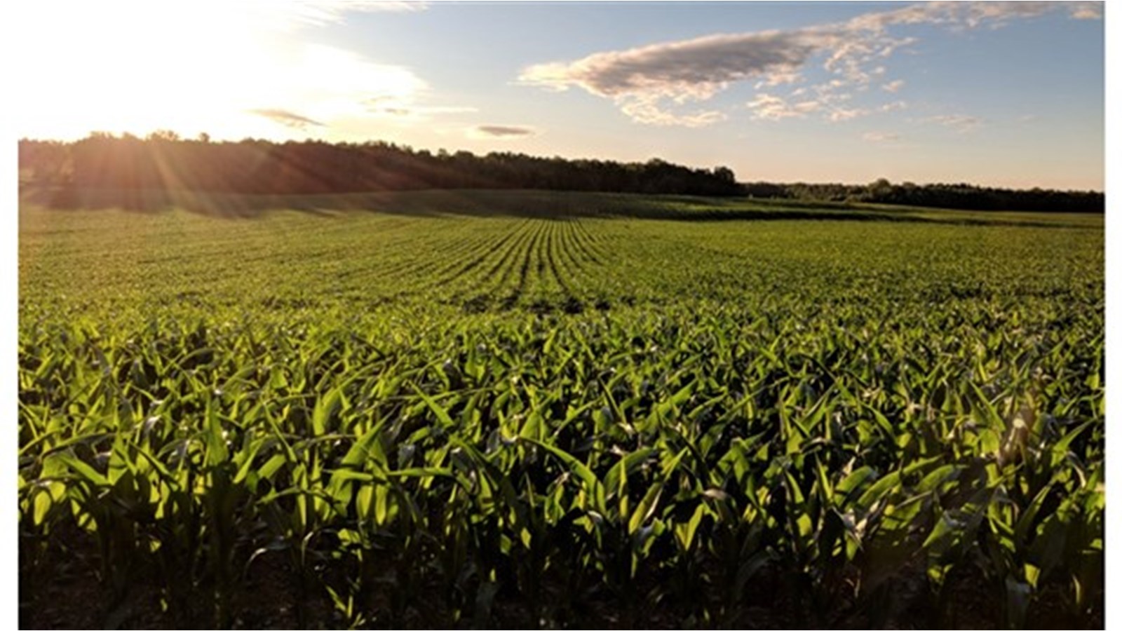La santé des sols agricoles, un enjeu pour l'UPA et ses partenaires
