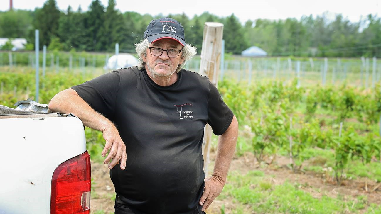 Un investissement payant pour le Vignoble de Pomone