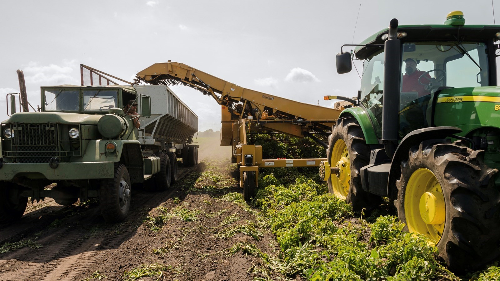 L'agriculture, c'est photogénique!