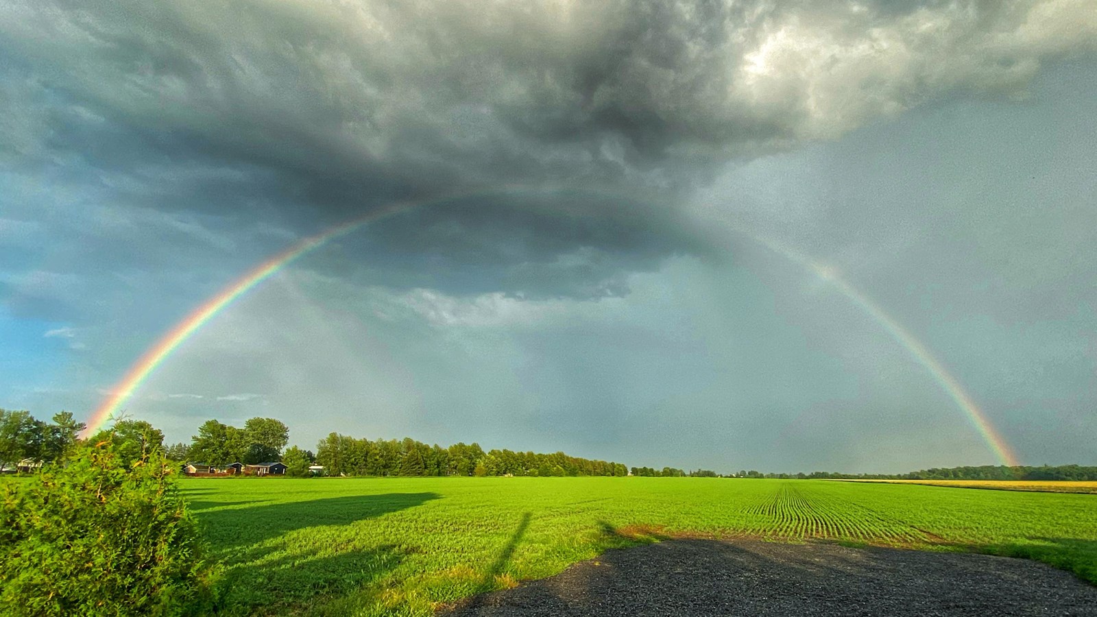 Arc-en-ciel après une averse dans un champs de St-Clet