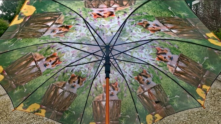 Des orages violents pourraient déferler sur la région dans les prochaines heures 