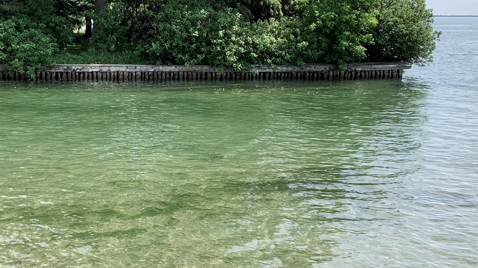 Comment surveiller la qualité de l’eau lors des baignades?