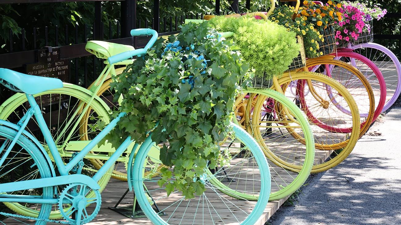 Installations de vélos de couleur en face de l'hôtel-de-ville de Saint-Polycarpe garnis de plantes.