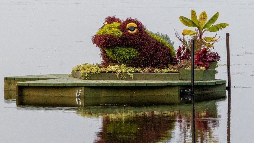 Des mosaïcultures flottantes au parc de la Maison Valois