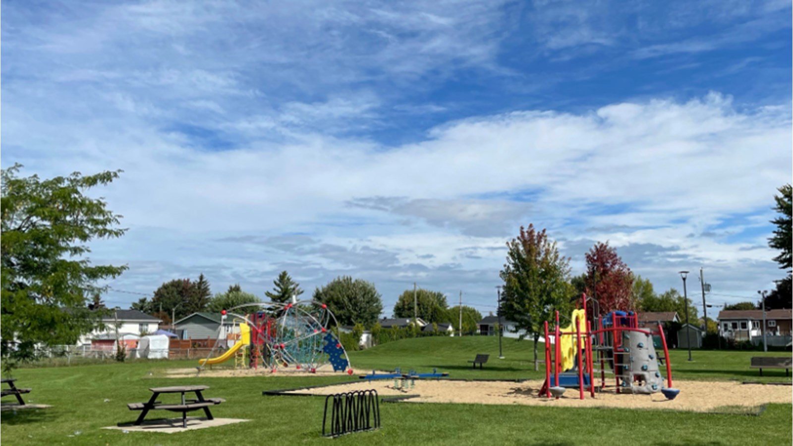 Investissements de 10 000$ pour planter des arbres au parc Larin 