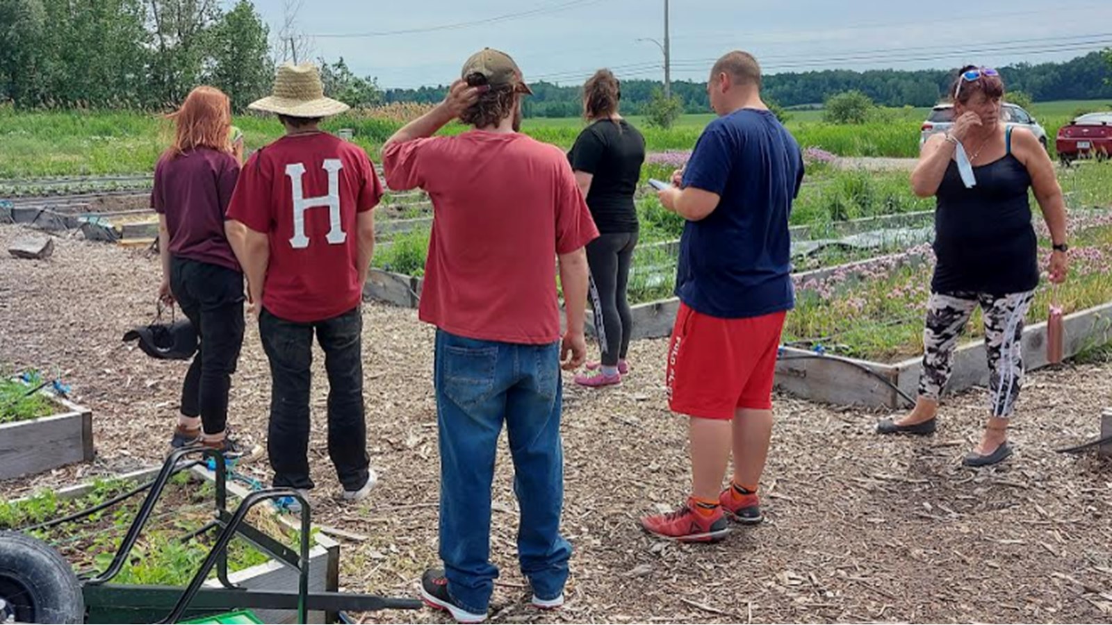 Une belle réussite pour la première édition du projet Jardin urbain