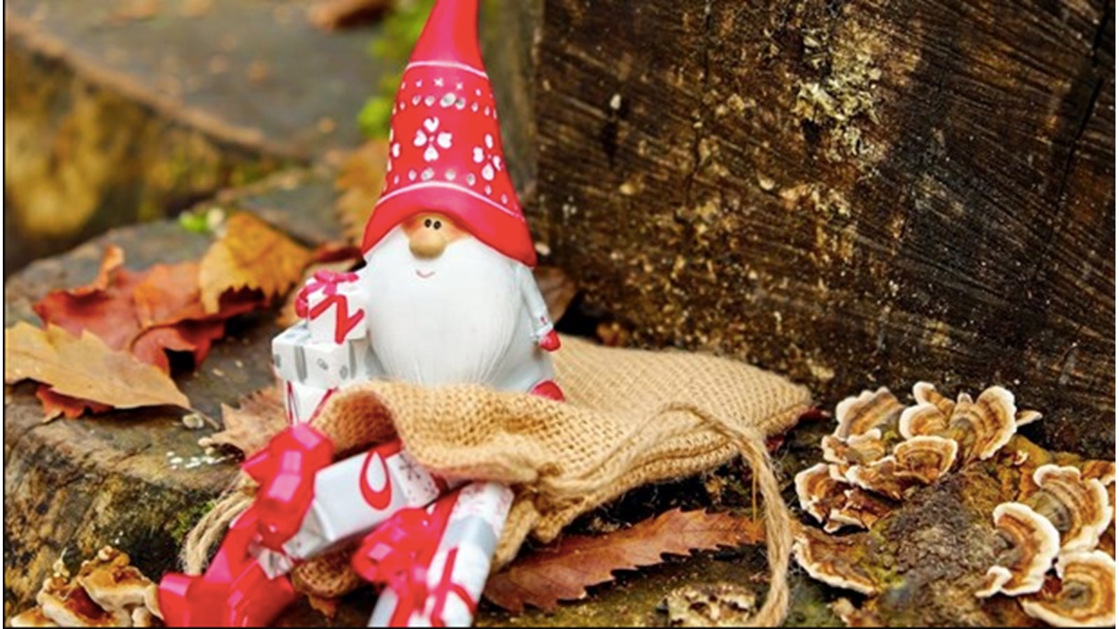 C'est Noël cette fin de semaine à la Maison Trestler de Vaudreuil-Dorion 