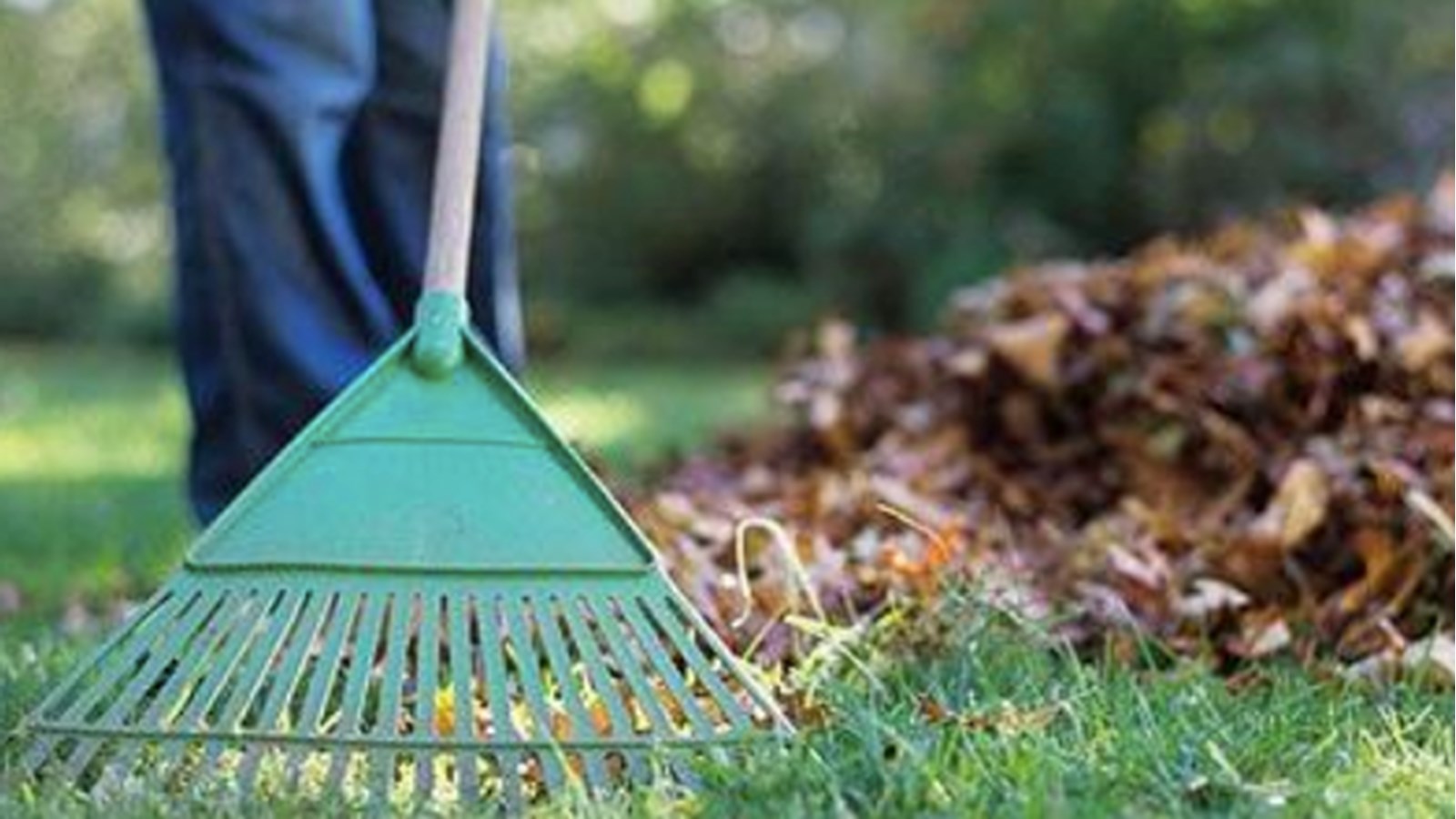 Collecte de feuilles et résidus verts ce mercredi à Rigaud 