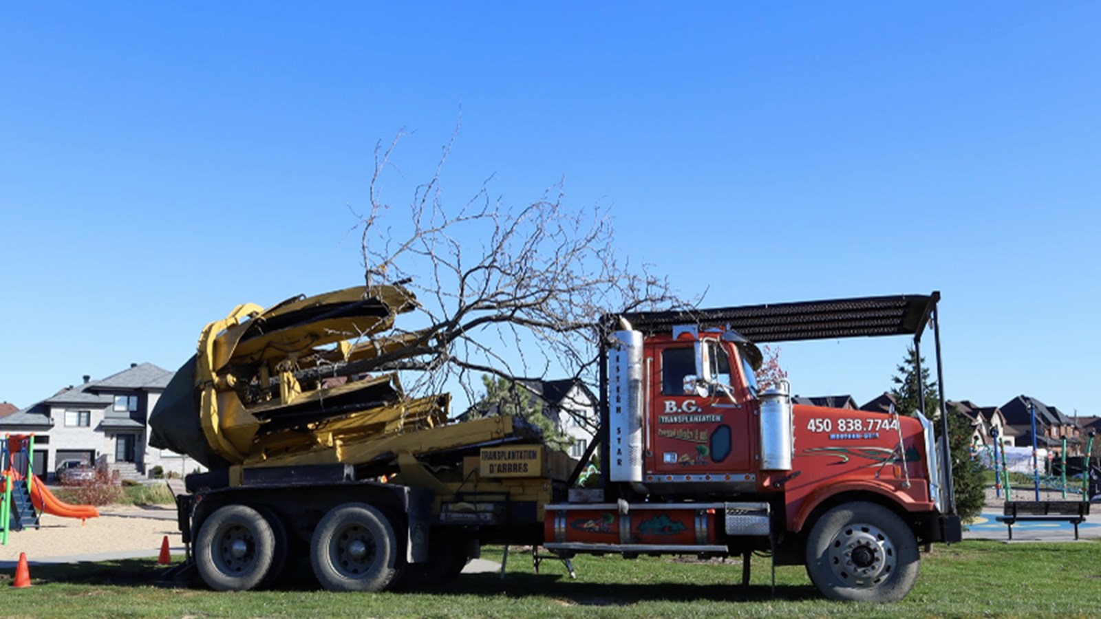 Plantation d'arbres en cours à Vaudreuil-Dorion 
