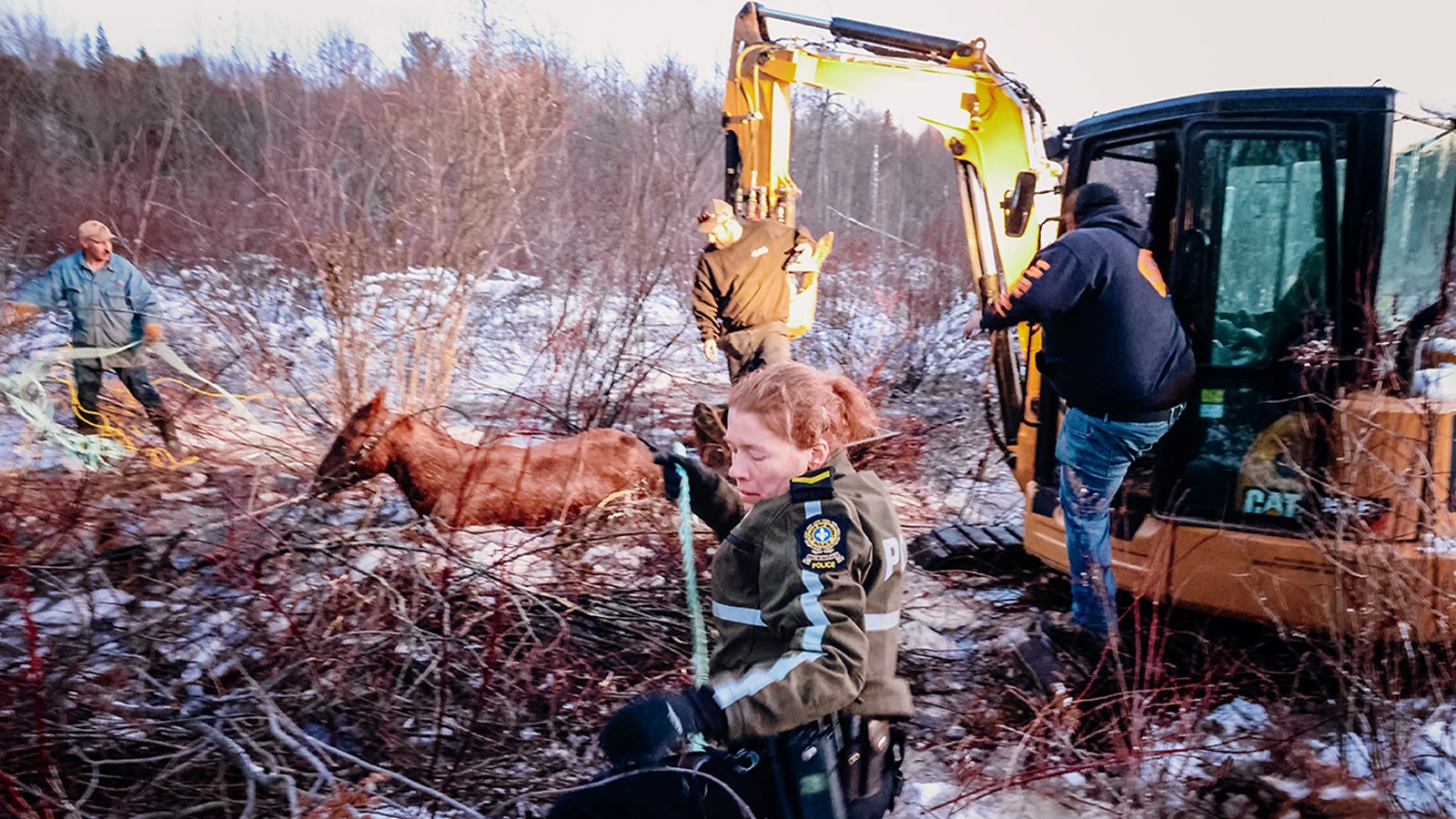 Épuisant sauvetage équestre en cours à Sainte-Justine-de-Newton