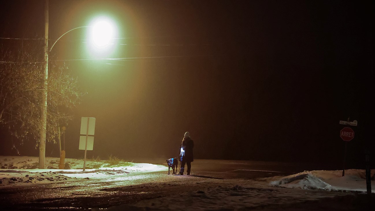 Interdit de promener son chien après 22h au Québec