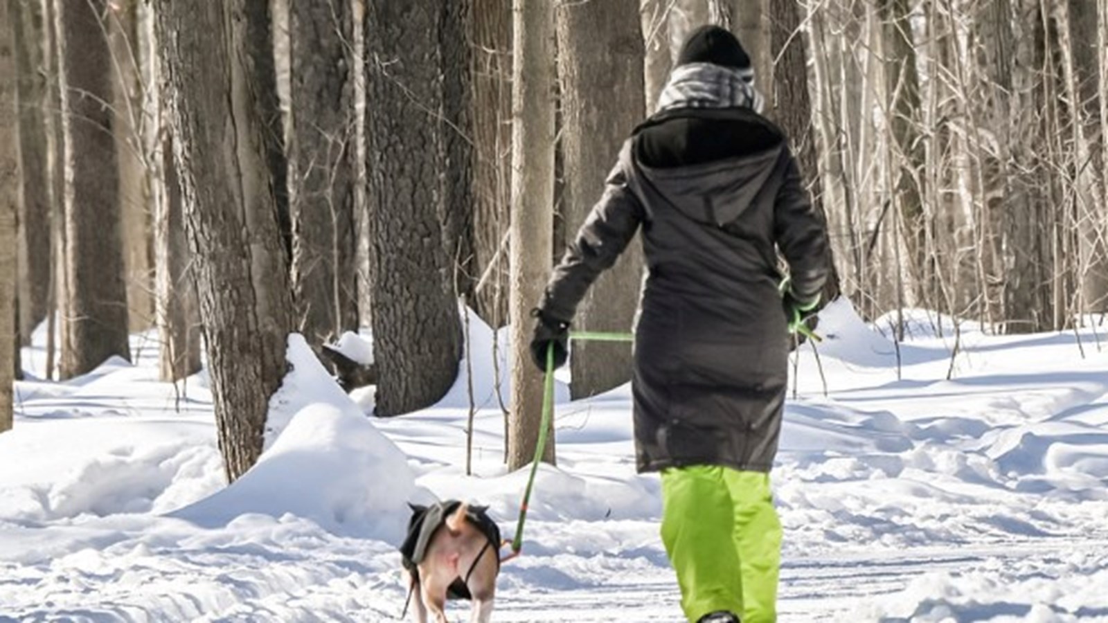 Plusieurs activités hivernales à venir à Coteau-du-Lac 
