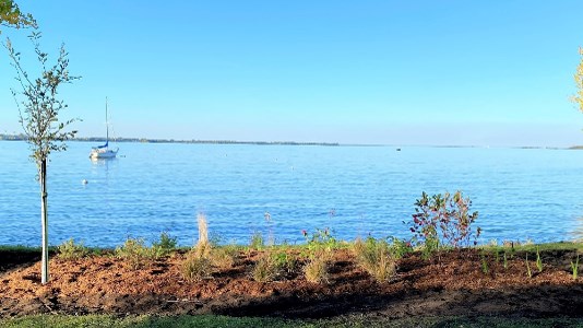 Des œuvres d’art au service de la faune locale