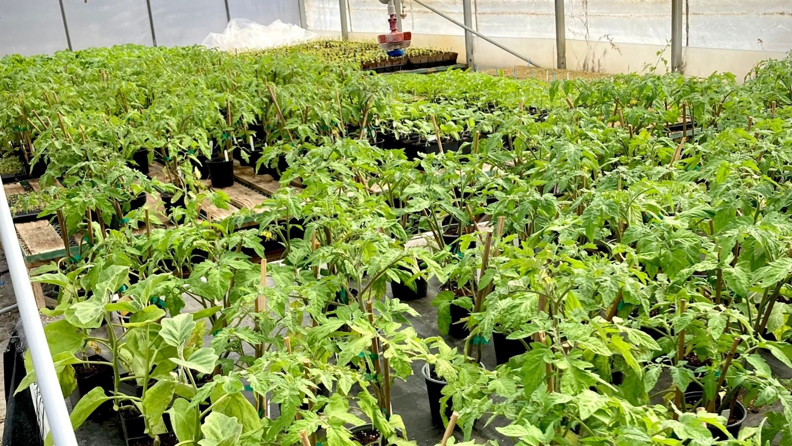 La Fondation des enfants de l'école Brind'Amour s’associe à la Ferme biologique Jardin chez Julie et Lova