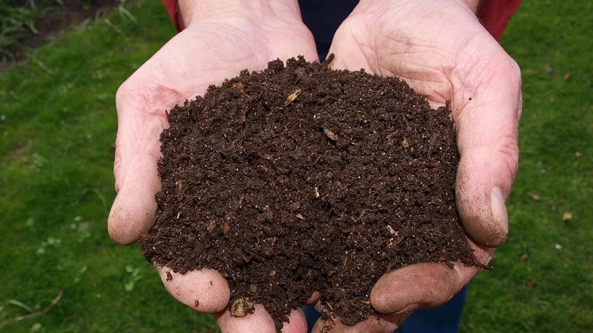 RAPPEL | Les distributions de compost commencent aujourd'hui