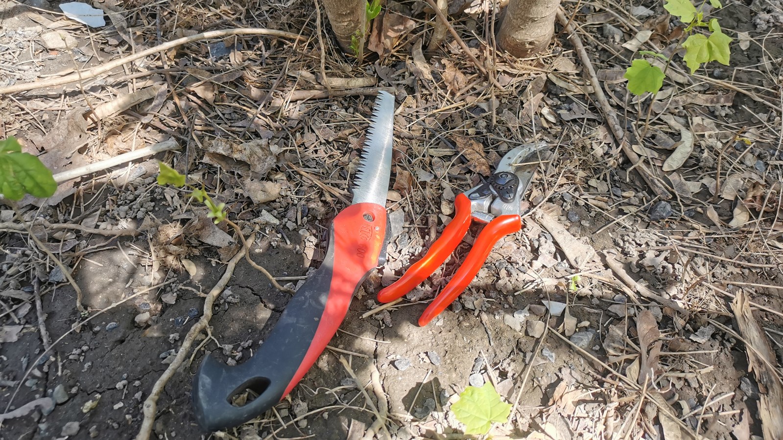 Rencontre technique: Des bonnes pratiques pour ne pas mettre les arbres en danger