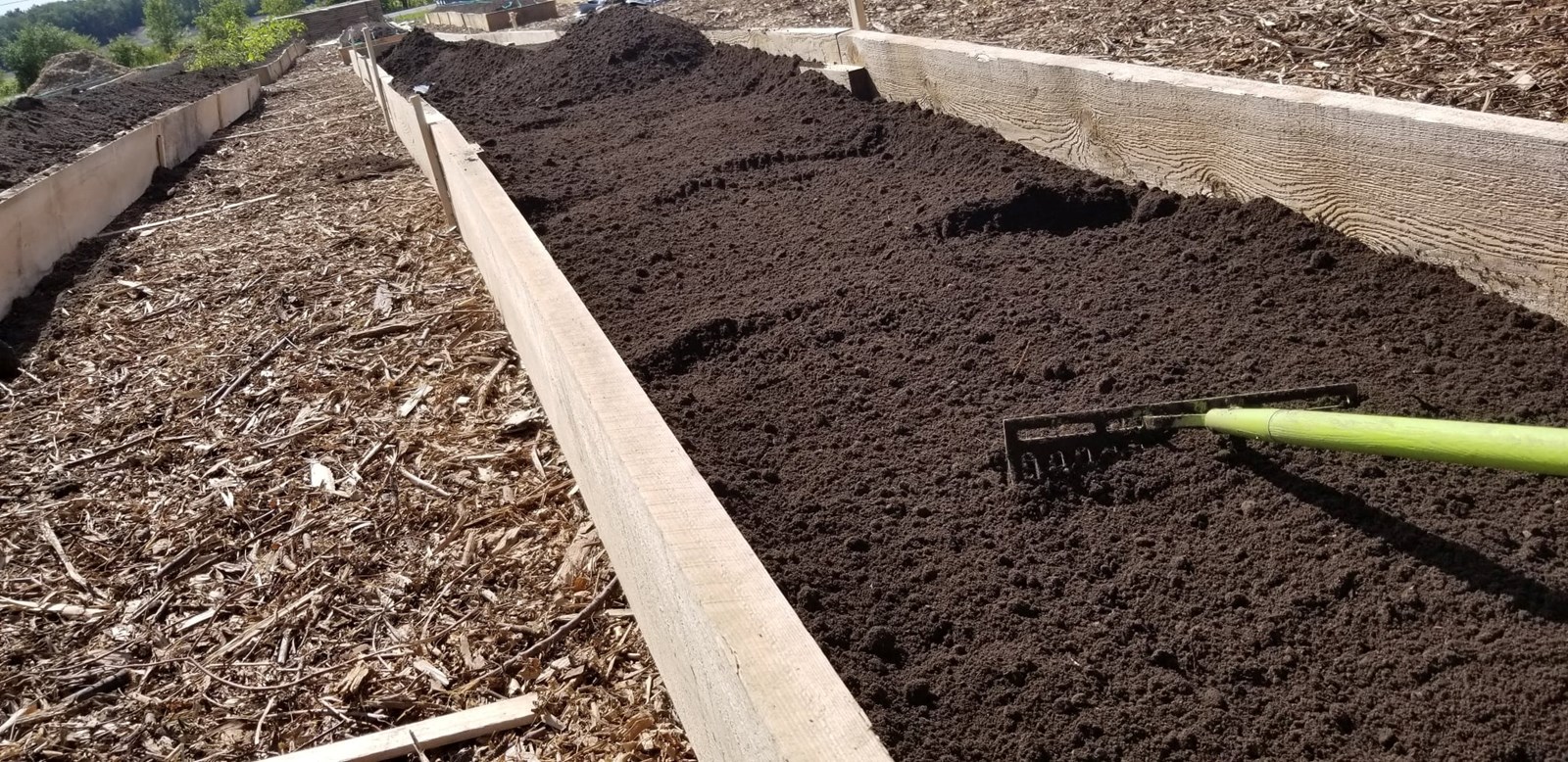 Une deuxième édition pour le projet, Jardin Urbain