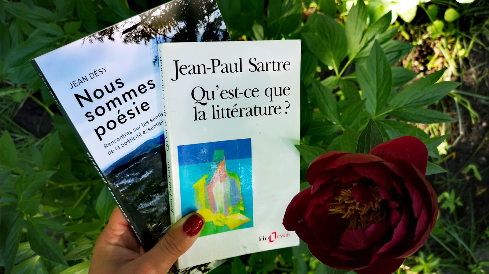 Le Club de lecture en plein air pour adulte débute les inscriptions dès aujourd'hui