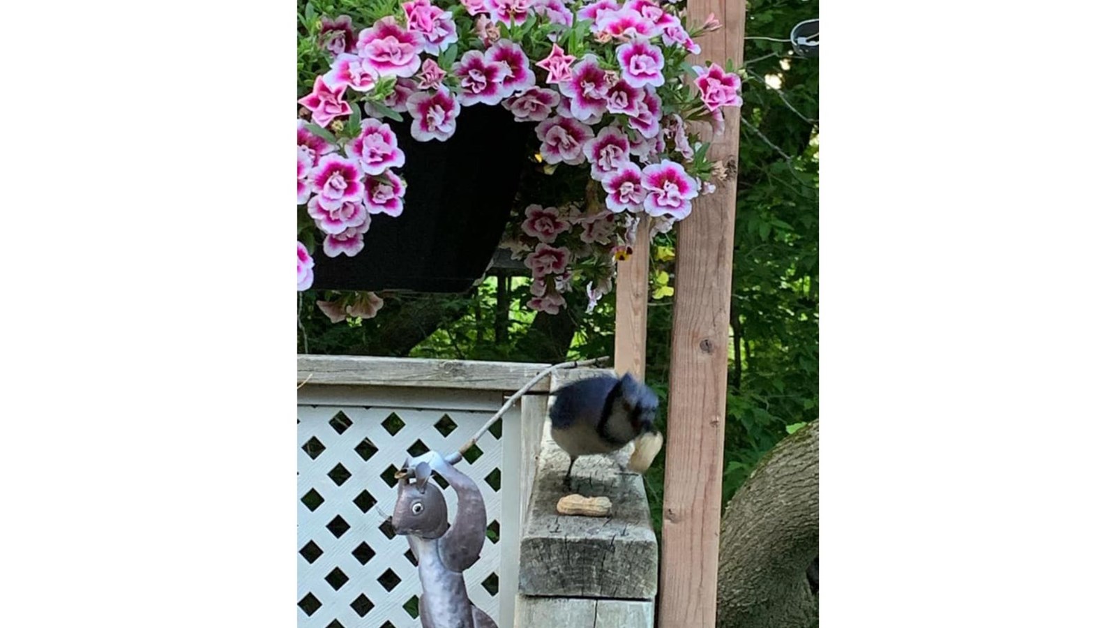 Moins d'une semaine pour nous faire parvenir vos photos sous le thème Début de l'été