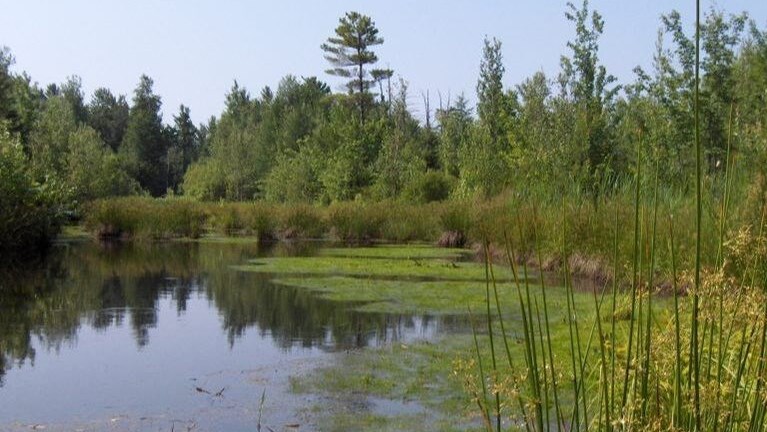 Rappel: artistes recherchés pour un projet en lien avec le paysage régional