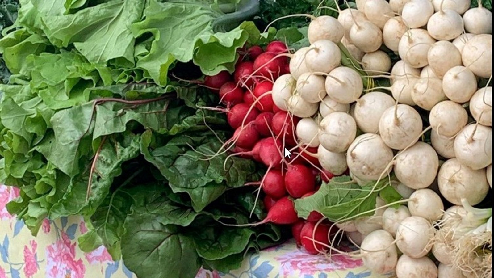Produits frais et découverte des familles pionnières de l'Île Perrot ce mercredi