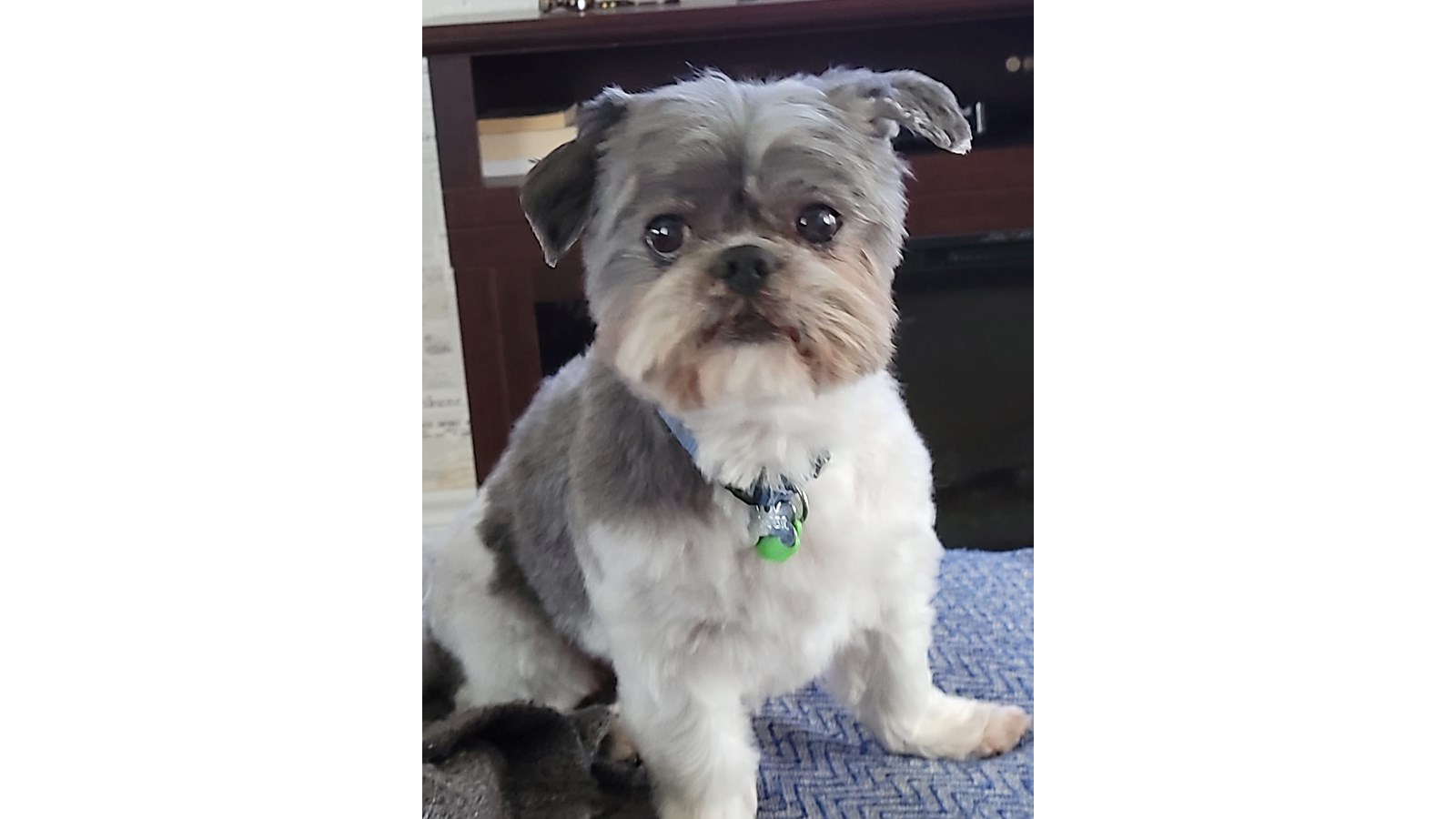 Buster