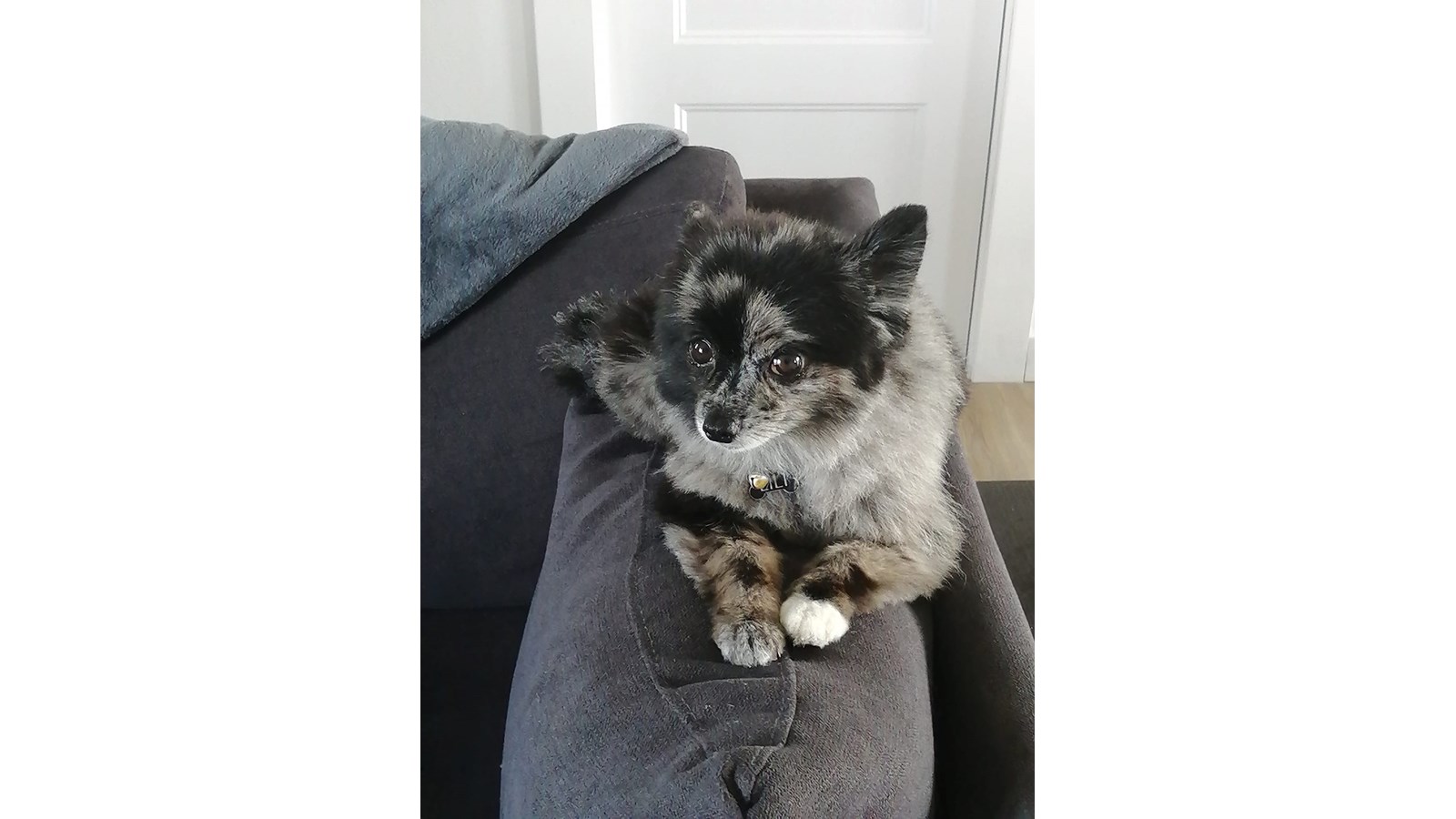 Lili