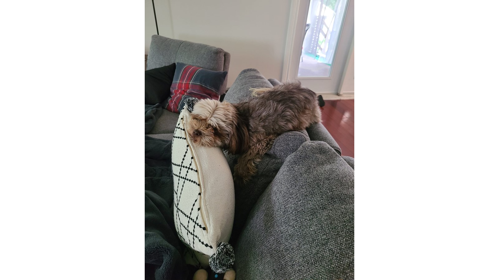 Gizmo