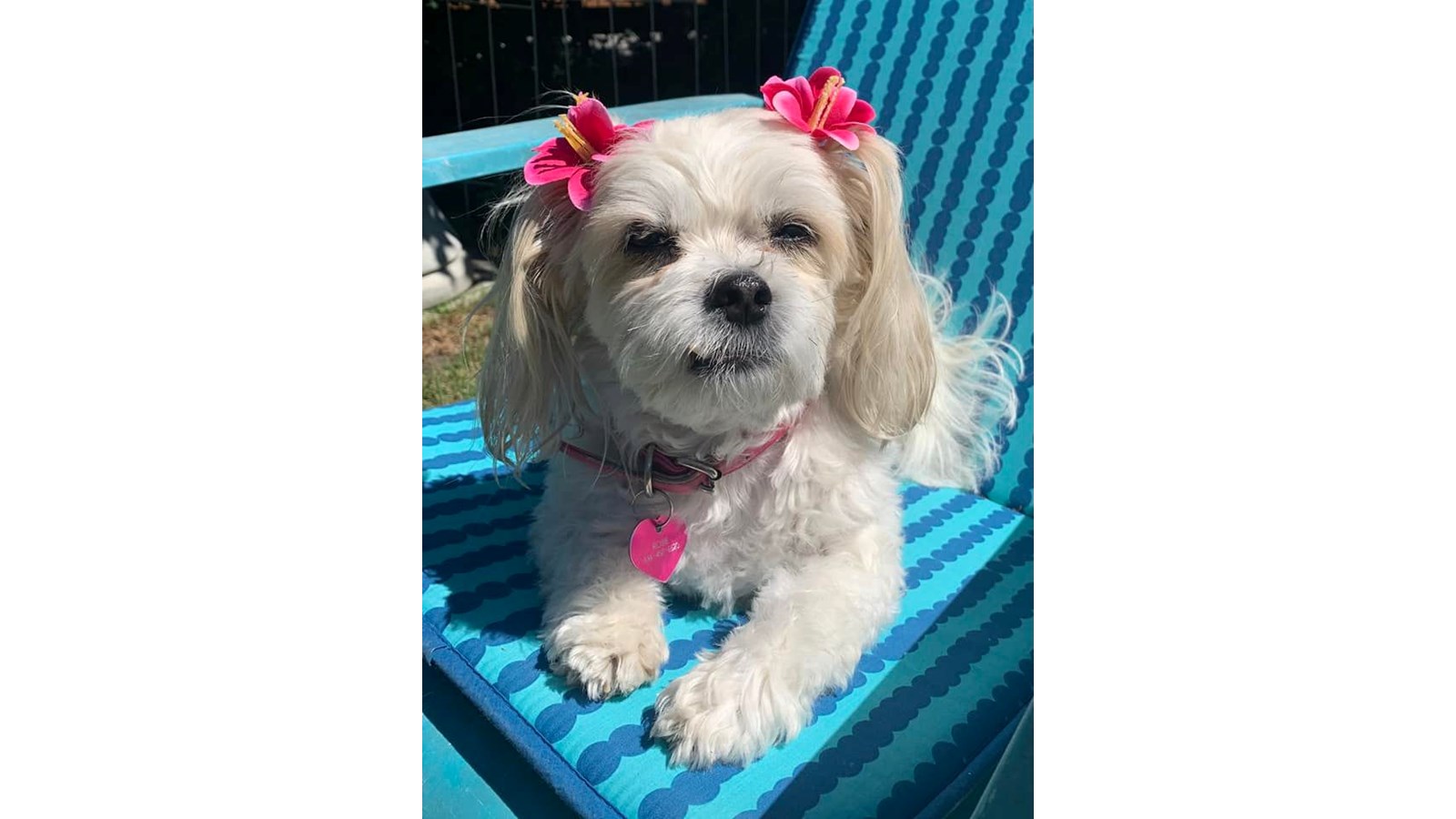 Rosie