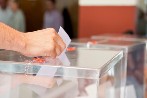 Contre toute attente, vous prévoyez de vous rendre massivement aux urnes !