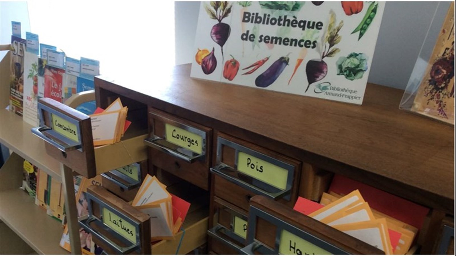 Visitez la bibliothèque de semences pour faire grandir votre passion pour le jardinage 