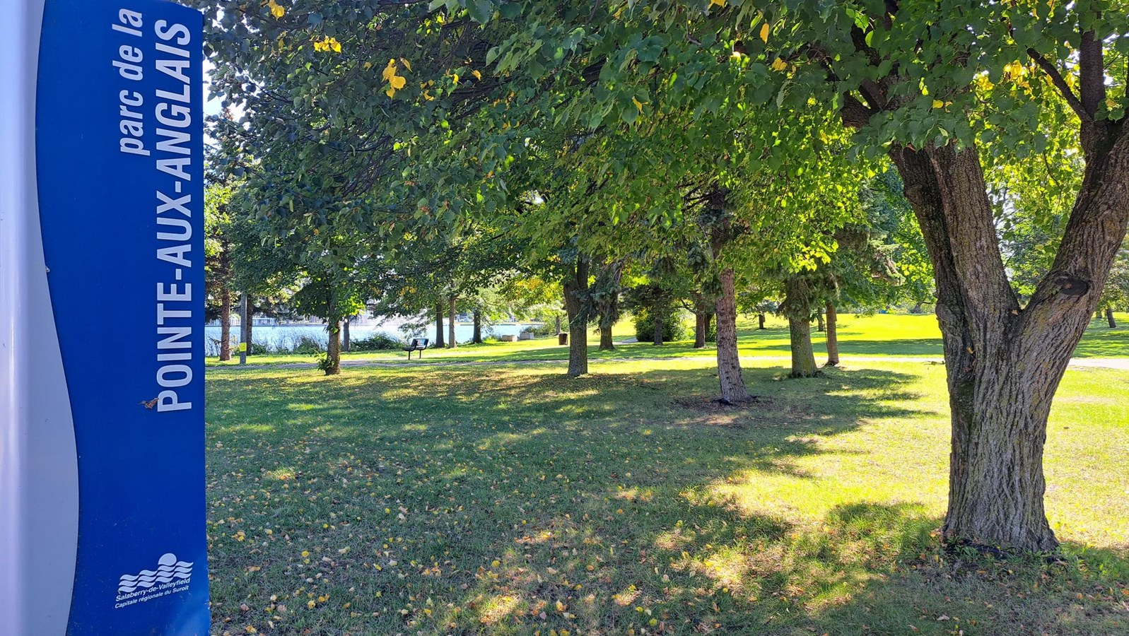 Le parc de la Pointe-des-Anglais abrite quelques itinérants qui dorment dans des tentes