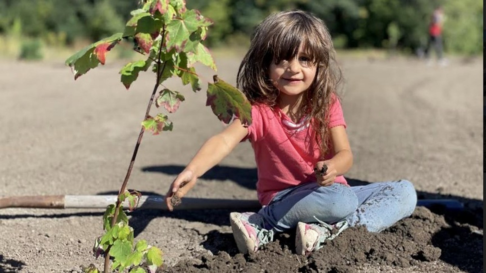 1 000 arbres à planter : la Ville lance la 5e édition de la Semaine de la biodiversité