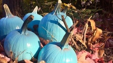 Des citrouilles turquoises pour un Halloween pour tous