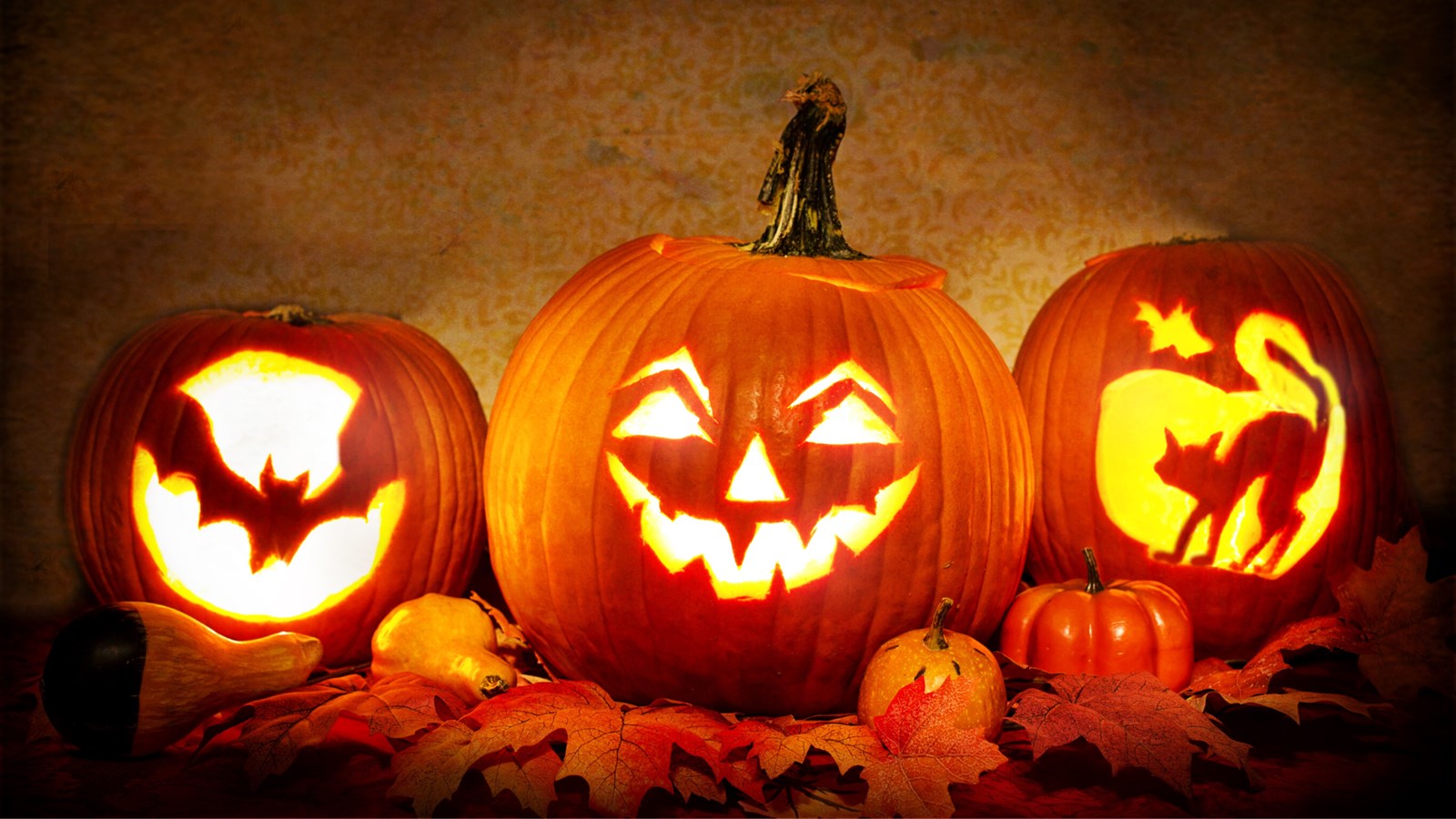 Venez fêter l’Halloween en famille à Les Coteaux