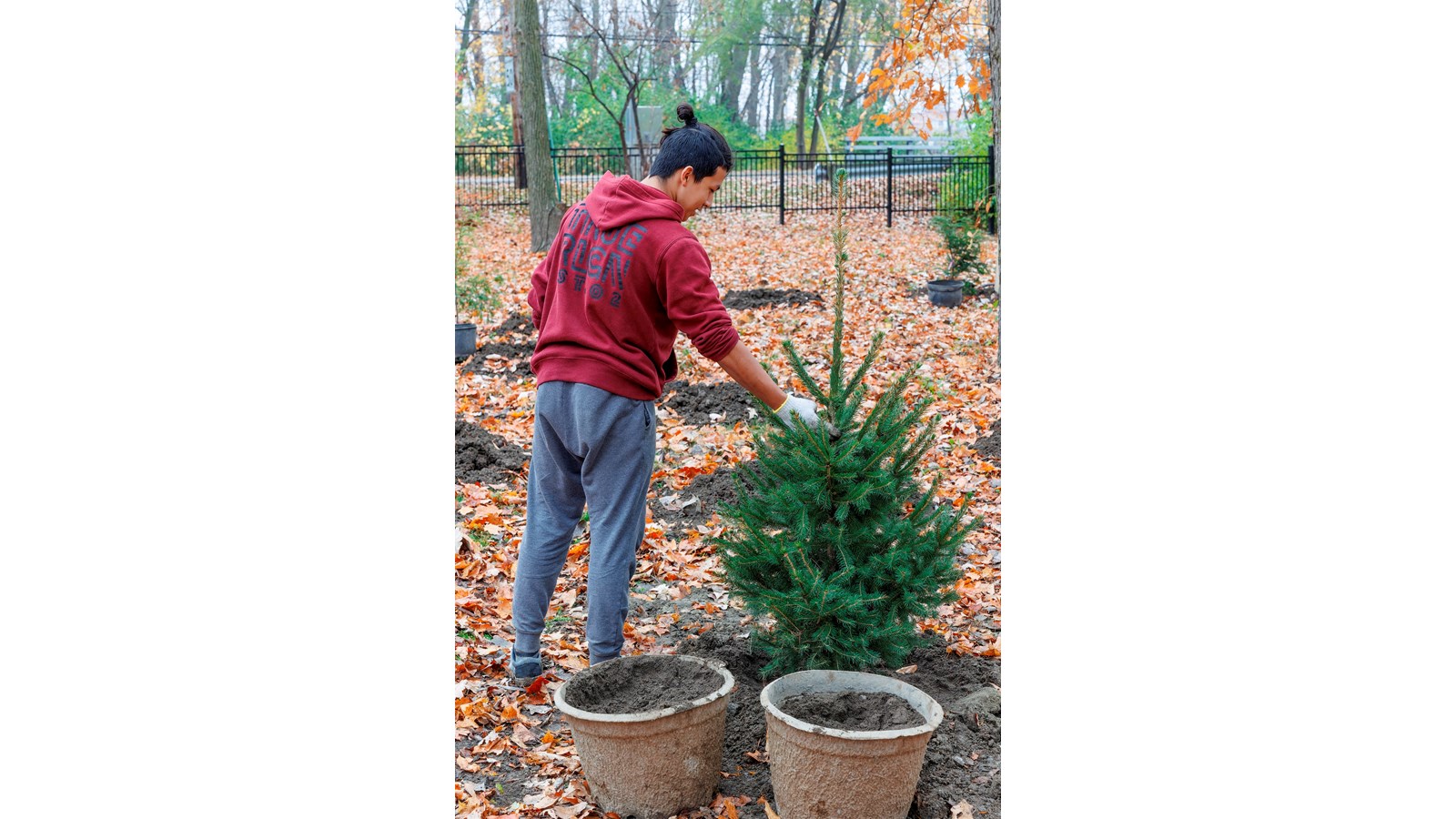 Journée de plantation communautaire au parc Le 405