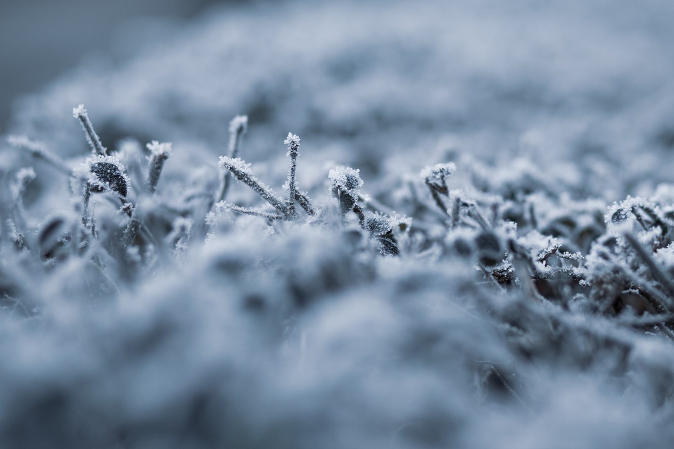 La région recevra ses premiers flocons cette semaine