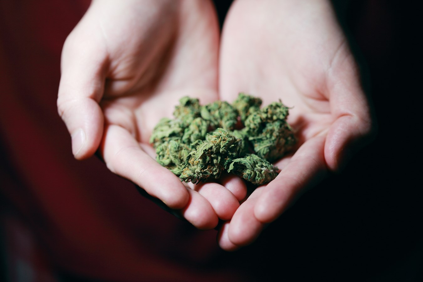 20 au 26 novembre : Semaine nationale de sensibilisation aux dépendances