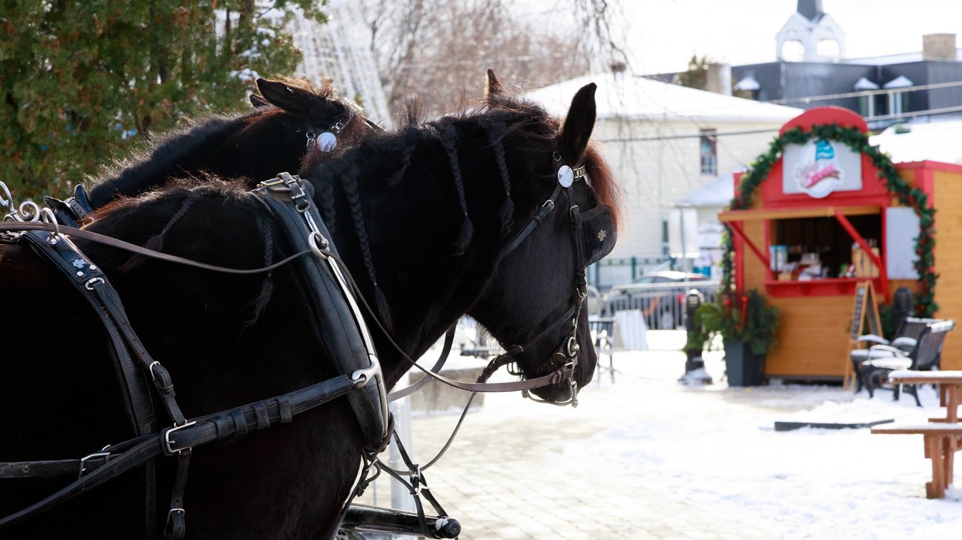 Artisans et festivités attendront les visiteurs au marché de Noël de Coteau-du-Lac