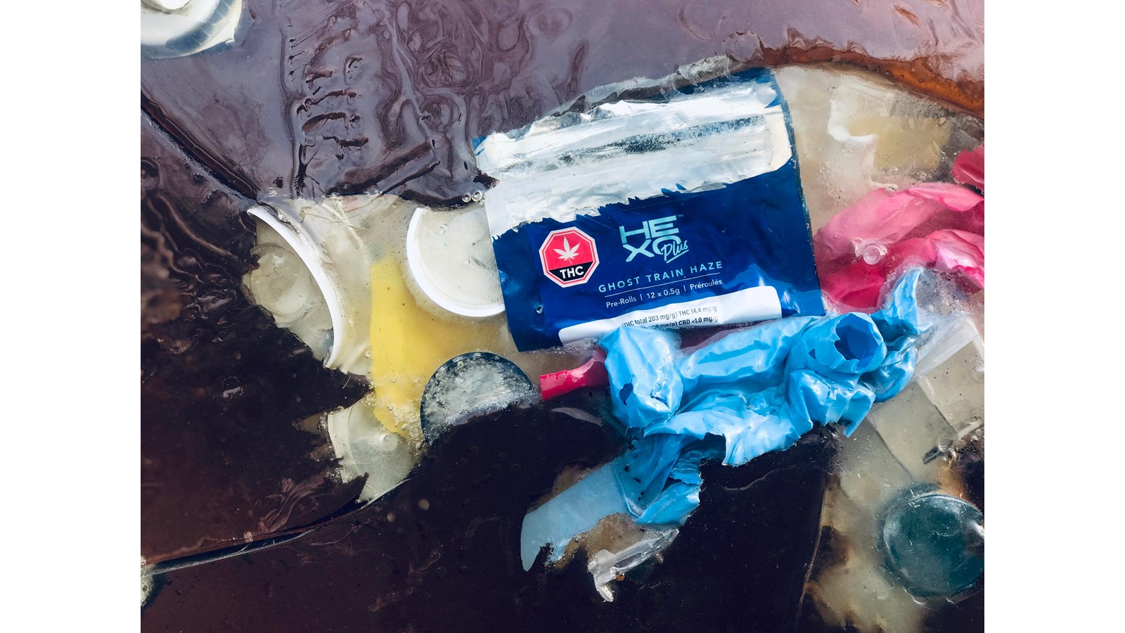 Le Cycle Polymère: une deuxième oeuvre est dévoilée à Pointe-des-Cascades