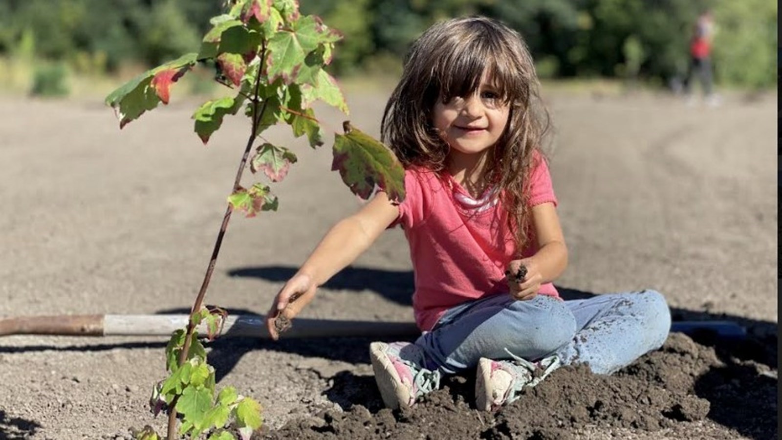 16 septembre 2022 : 1 000 arbres à planter : la Ville lance la 5e édition de la Semaine de la biodiversité