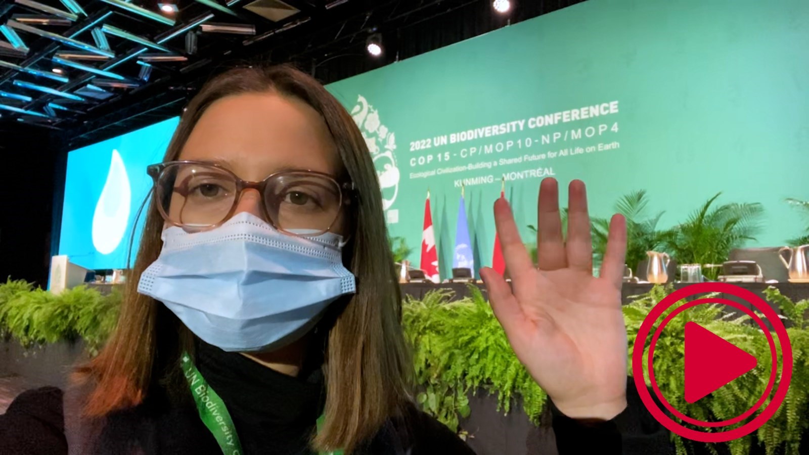 14 décembre 2022 : COP15 - Jour 8 | Le milieu des affaires s’invite à la COP15