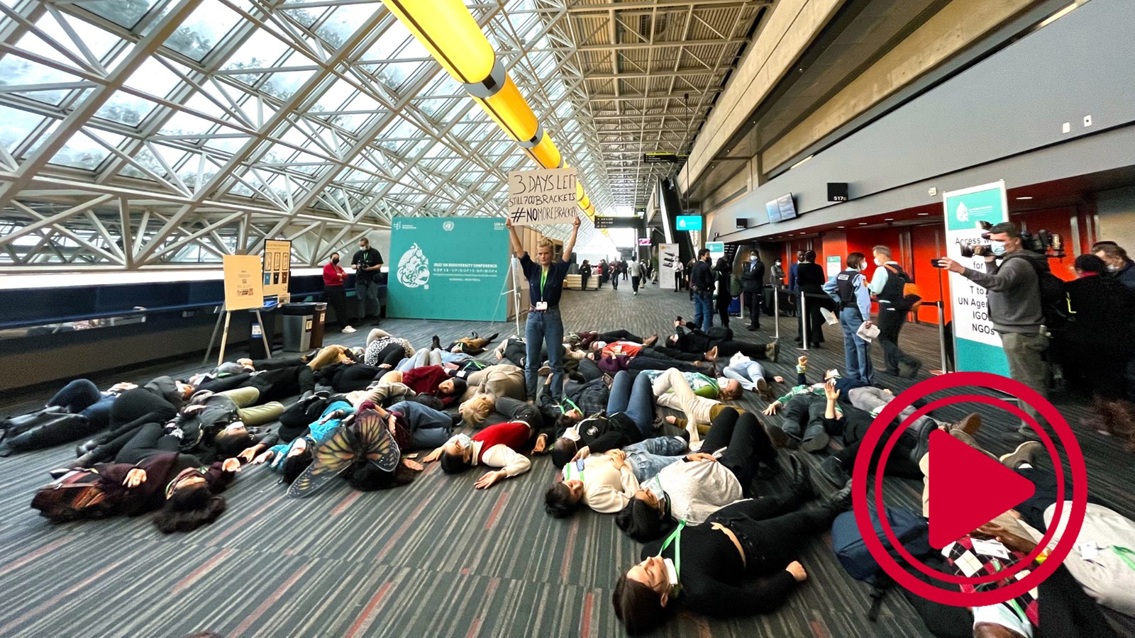 COP15 - Jour 11 | Debout pour la biodiversité