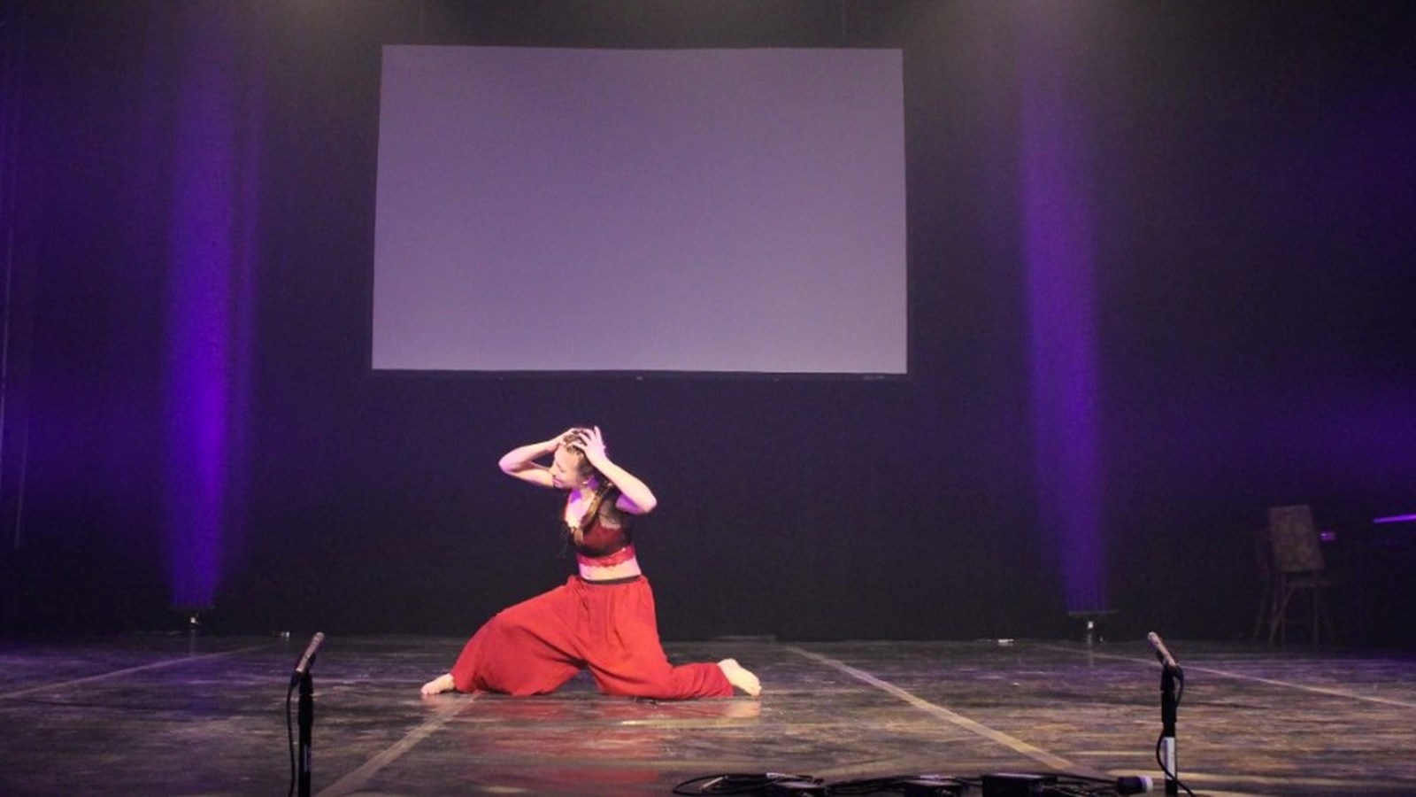 Des étudiants-artistes se démarquent à la 35e Finale de Cégeps en spectacle 
