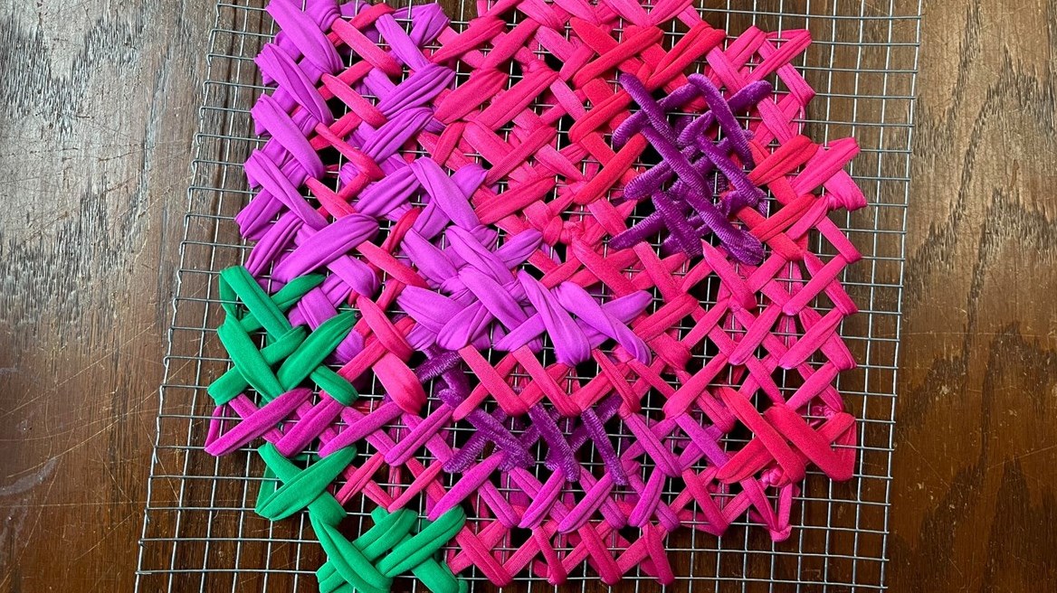 Un jardin de roses pour le 40e de L’Actuel