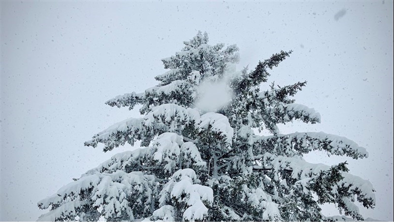 Alerte météo: jusqu'à 25 centimètres attendus sur la région 
