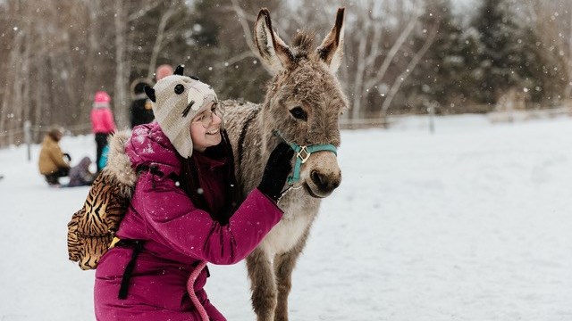 Le Carnaval hivernal de La Belle et ses Bêtes attire plusieurs centaines de familles