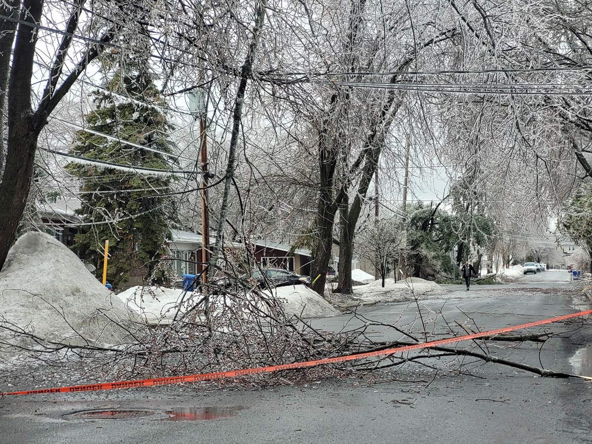 Ramassage de branches en cours sur le territoire de Vaudreuil-Dorion
