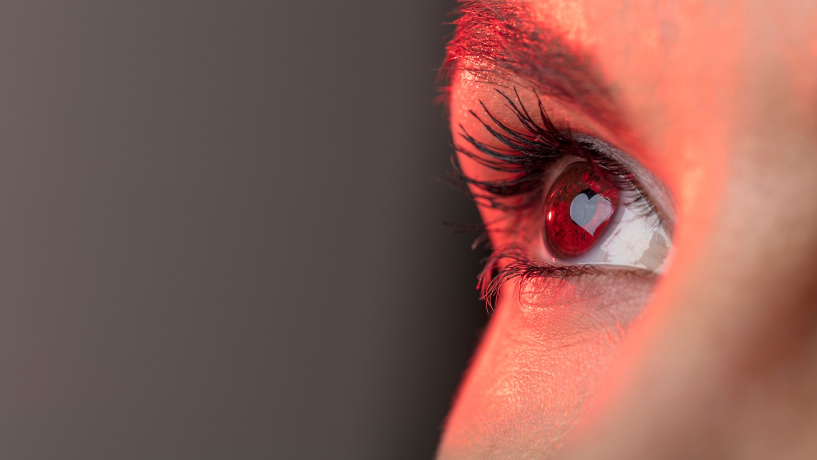 L'essentiel est invisible pour les yeux